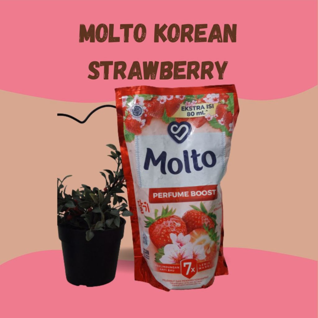Molto Korean Strawberry Review